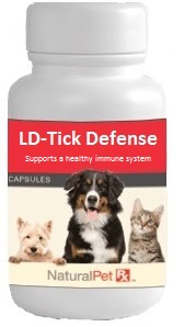 LD-Support - 100 Capsules